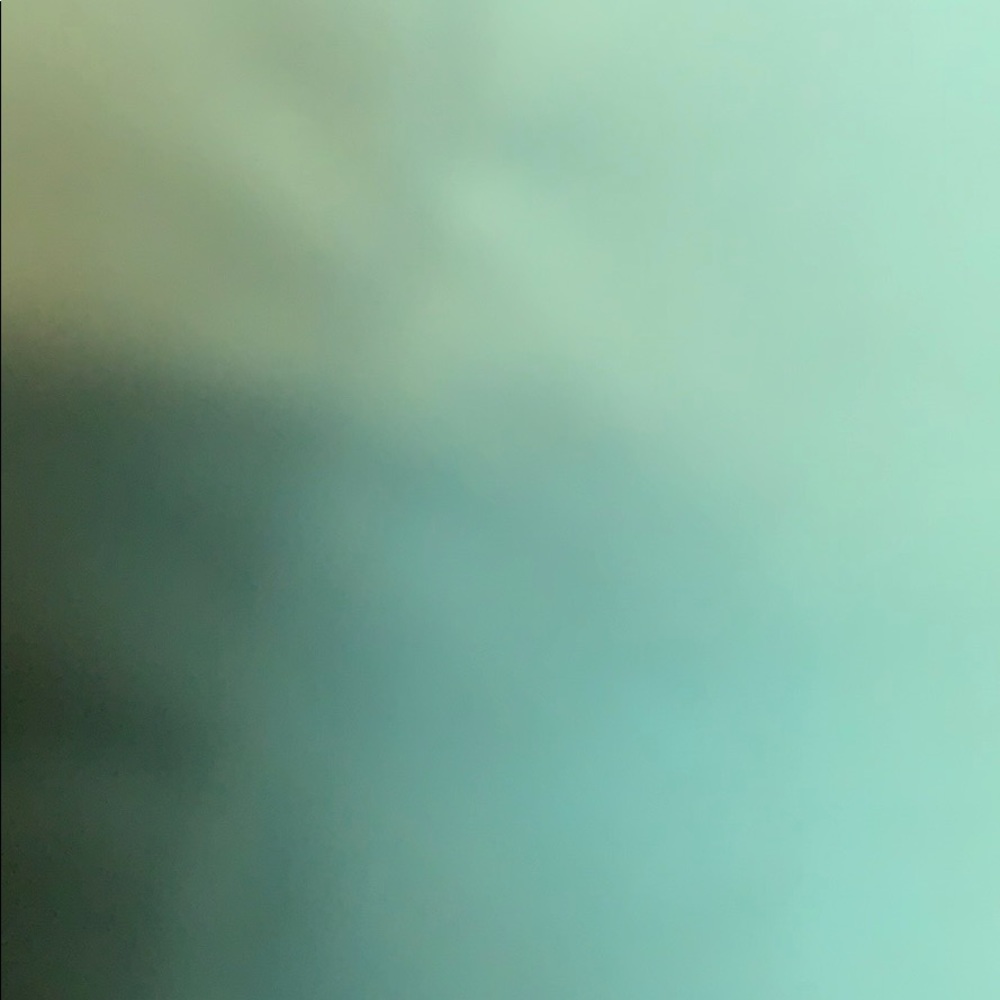 Meet your Posher, Harrison